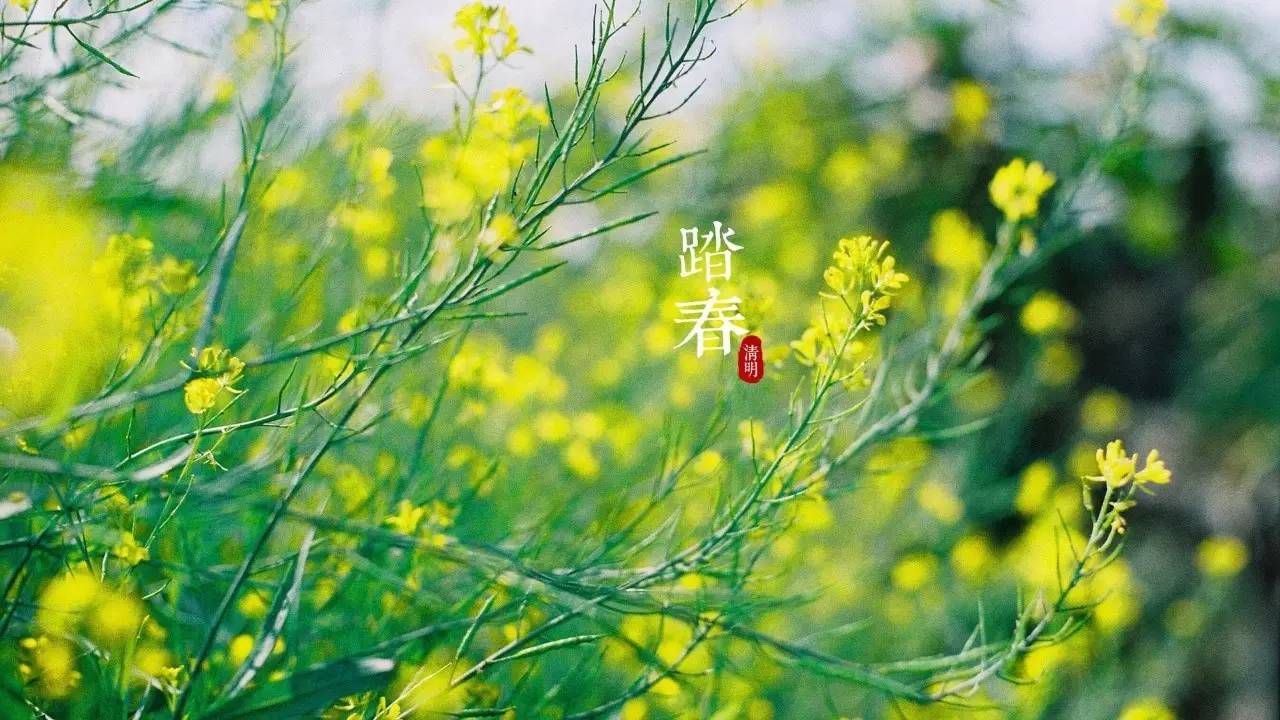 清明最好的十首诗七言,清明诗词十首朗诵