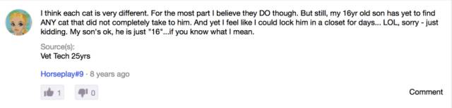 喵对你眨眼睛,猫咪爱上你的套路