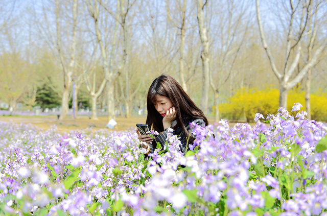 青岛农大现在情况,青岛农大放开了吗