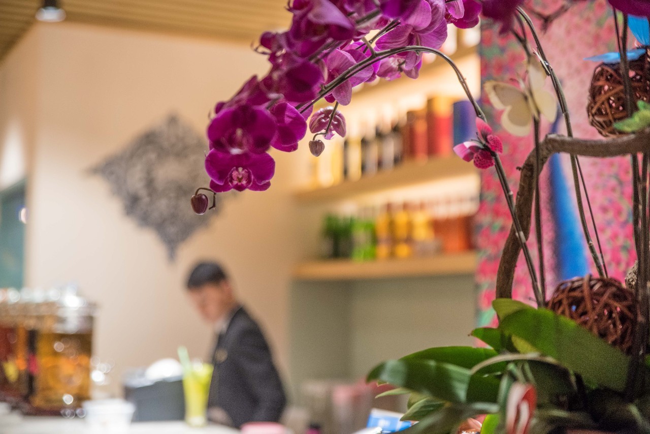 在丽江那一口“好喝到要*天升**”的汽锅鸡，让我开始了“寻找上海最好吃的云南菜”之旅！