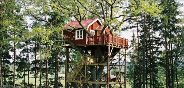 鏄ョ敯鑺辫姳鏃ュ父,鏄ョ敯鑺辫姳鑻辫