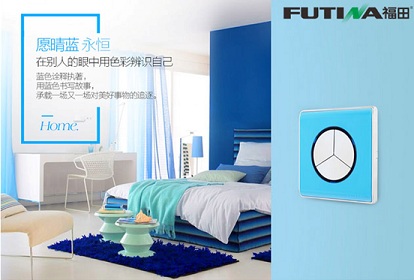 不一样的福田,福田与飞雕开关哪个牌子便宜点