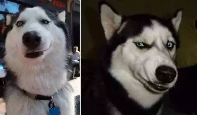 原谅我这一生不羁放纵完整版,原谅我这一生不羁放纵群星版