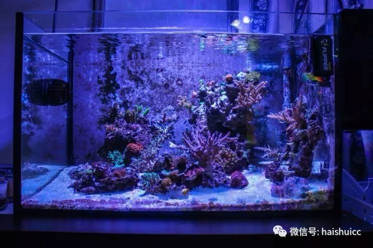 蛋炒饭的配方与做法,蛋炒饭的秘制酱料该怎么做