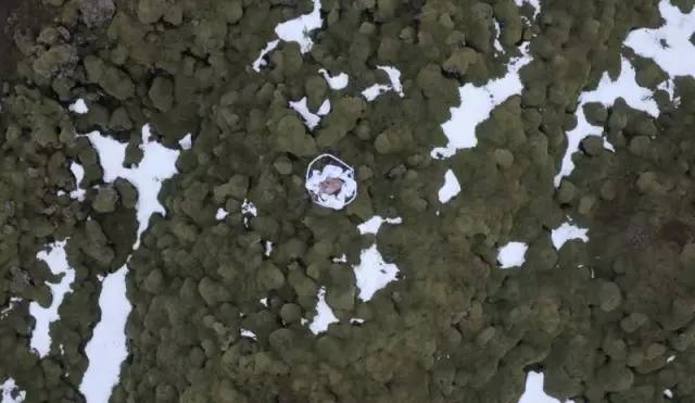 GreenCode：“向未来致敬”