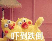 今日头条最奇葩的视频,今日头条最奇葩的事件