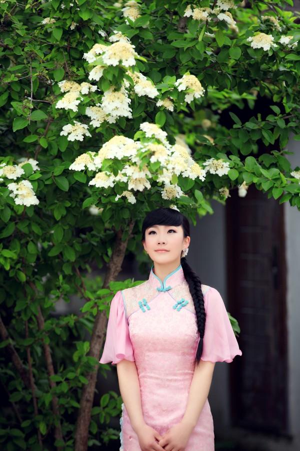 《本草》植物志之琼花：隋炀帝的生死劫