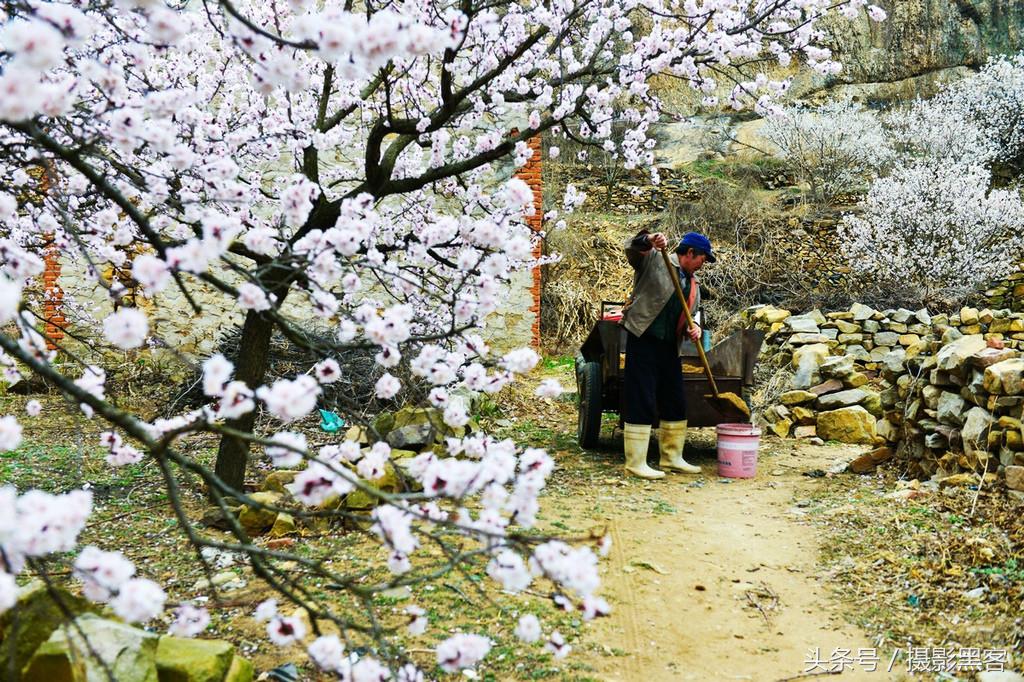 濞佹捣涔冲北妯辨,灞变笢涔冲北妯辨