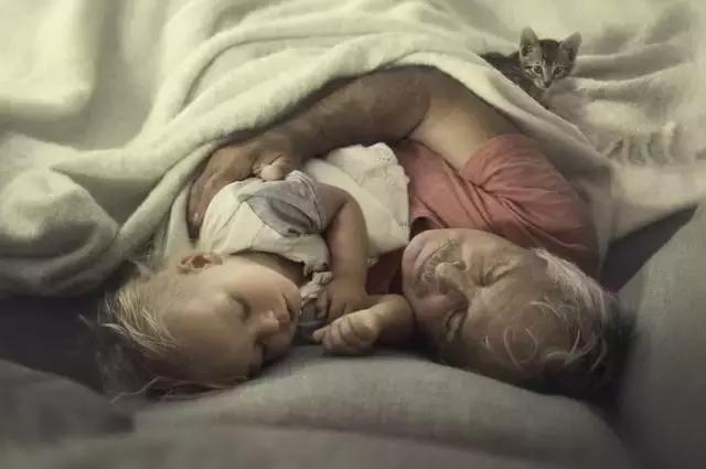 出嫁后，你会顺服婆家吗？——从“挪亚家的女人们”想到的