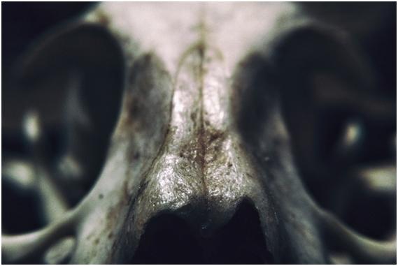 十大最吓人的祭祀,世界上有哪些恐怖的祭祀