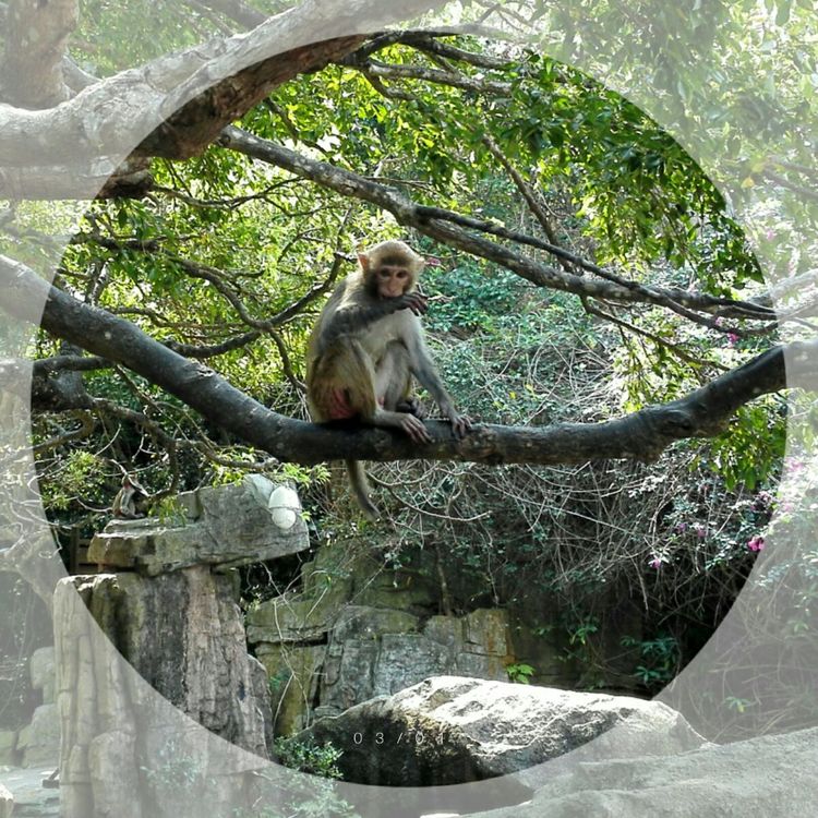 海南之旅感悟,海南行的点滴回忆
