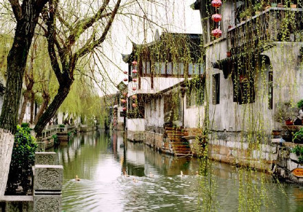 服用黄体酮后不来月经怎么回事,服用黄体酮后还是不来月经怎么办