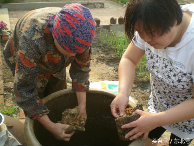 正宗东北大酱教程,南方人尝试下东北大酱