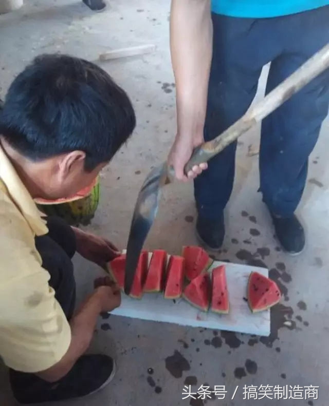 野生黄鳝会咬人吗,黄鳝怎么抓不咬人