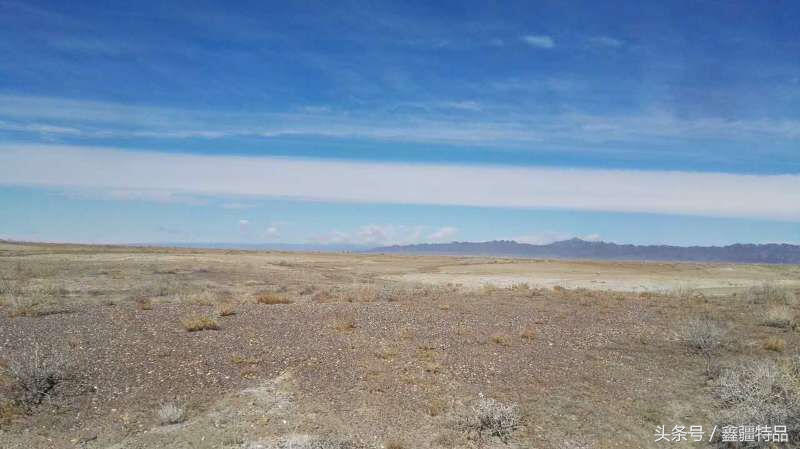 金丝玉宝石光在哪捡,捡金丝玉海蓝宝石的地方