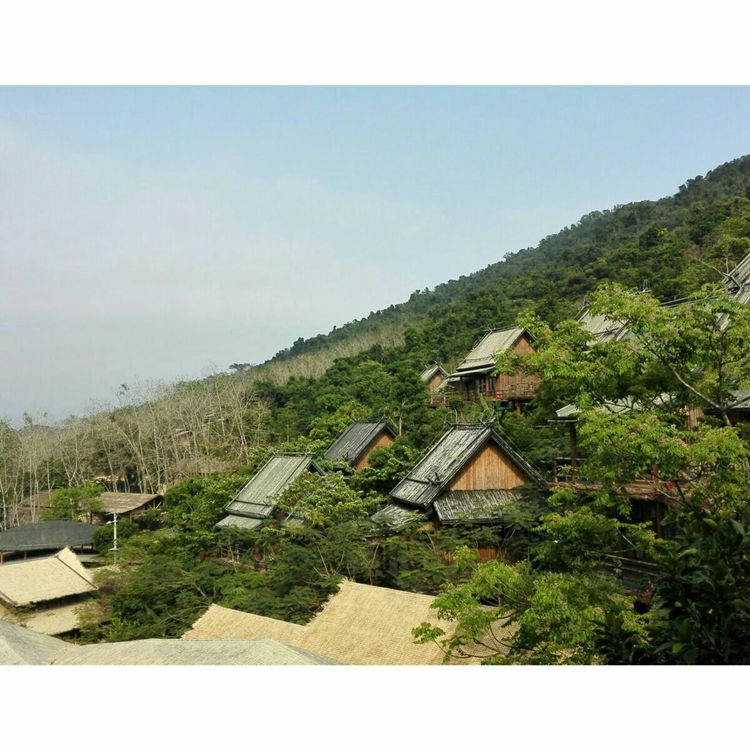 海南之旅感悟,海南行的点滴回忆