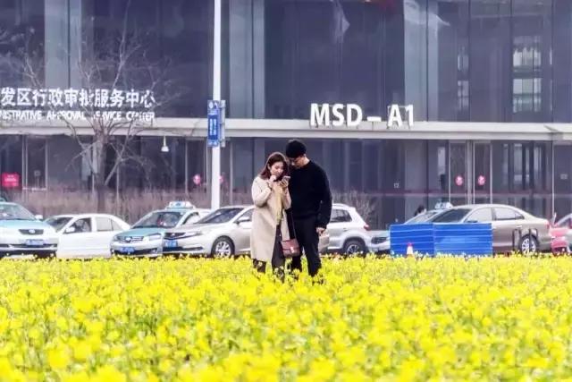 美爆了春天好去处,天津春天赏花的地方有哪些推荐