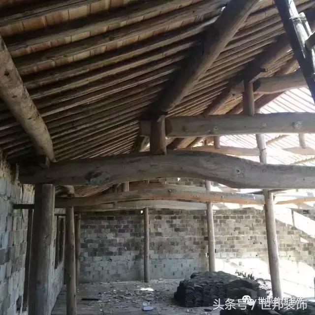 重塑时光之忆,重塑时光之忆动态