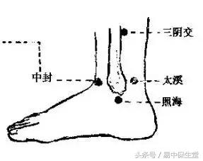 补肾最快最有效的方法,补气血补肾最快最有效的方法