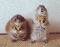 教你怎么用牙膏,用小妙招坑你的同伴