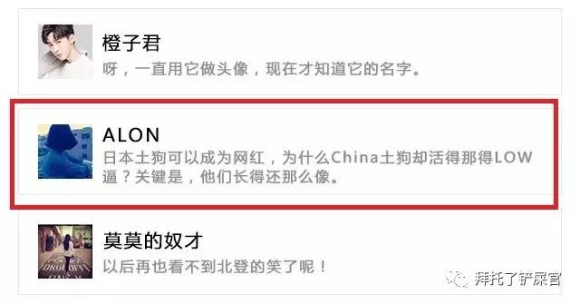 日本土狗为什么那么可爱,日本土狗是柴犬还是秋田犬