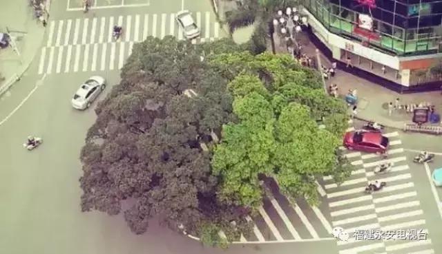 永安最著名的地标,永安地标图