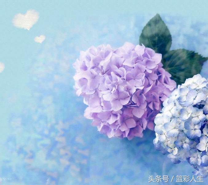 足球4串1今日推荐,足球4串一输一场