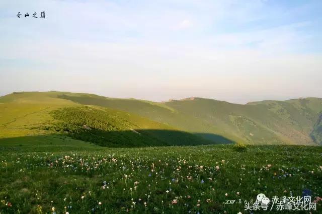 巴林鸡血石草原瑰宝,草原瑰宝巴林鸡血石