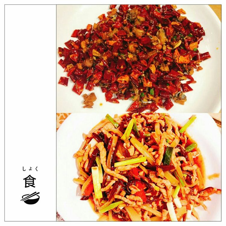 海南之旅感悟,海南行的点滴回忆