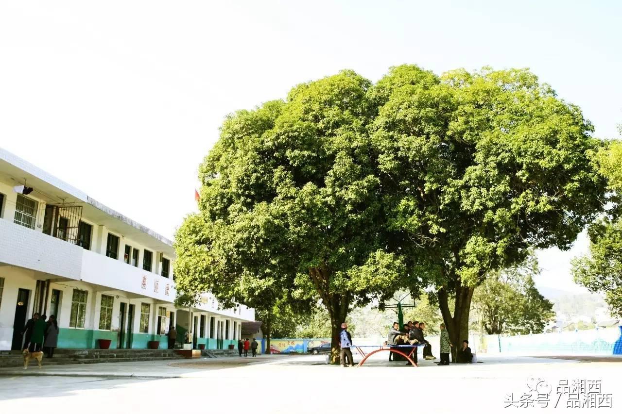 湘西苗寨与世隔绝的世外桃源,曾经古老的湖南湘西苗寨