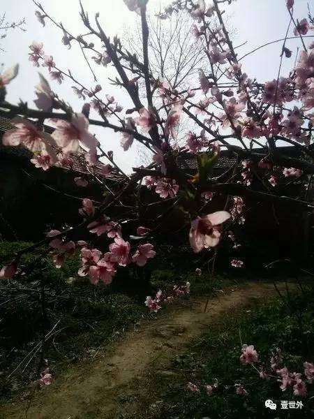 揭秘终南山隐士纪录片,探访终南山隐居的真实的生活