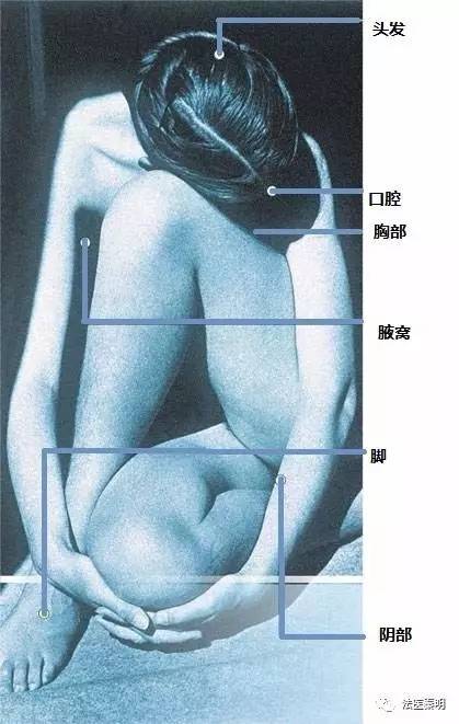 只有异性能闻到对方的“体香”，这是真的吗？