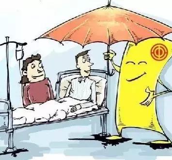 穿越十里桃林，有一种温暖叫“娘家人”