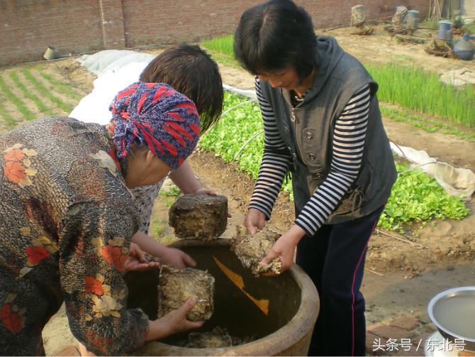 正宗东北大酱教程,南方人尝试下东北大酱