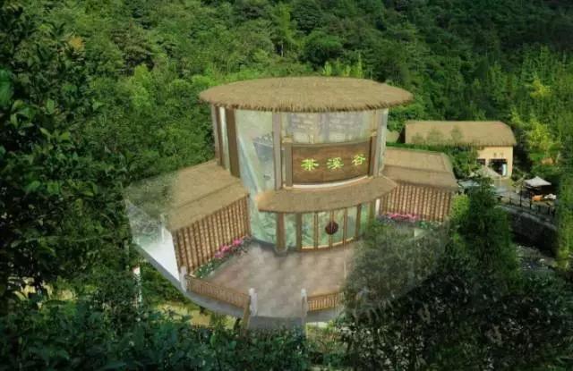 成都附近一小时氧吧,成都周边森林免费氧吧推荐