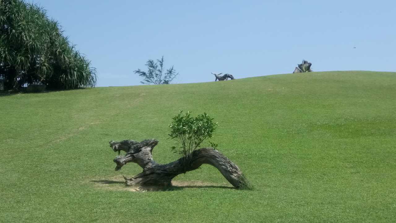 苏花公路最佳路线,苏花公路风景图