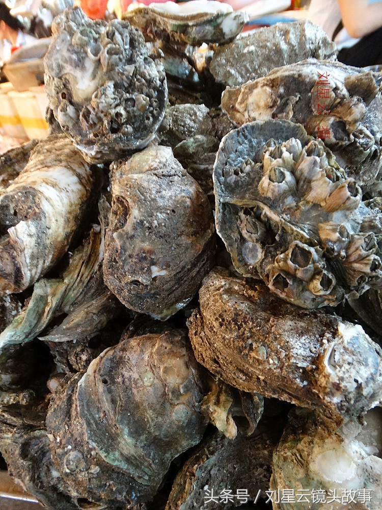 来三亚旅游想吃带壳的海鲜，不当冤大头，要有智慧善挑选和会安排