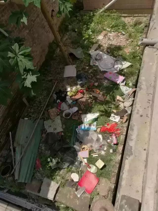 不用逃离北上广，他花10万任性改造租来的破院照样活得率性精彩