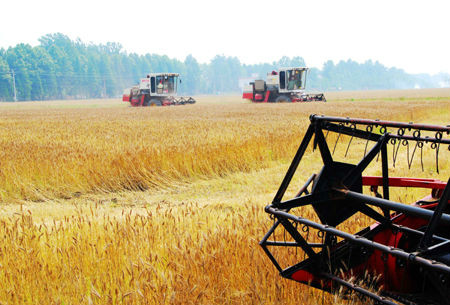 合作社执照哪个银行贷款,合作社有什么贷款产品