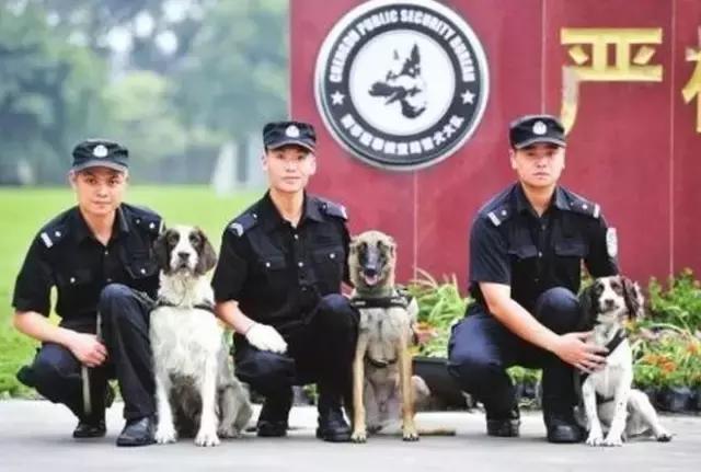 非凡任务黄轩出场,非凡任务完整版黄轩