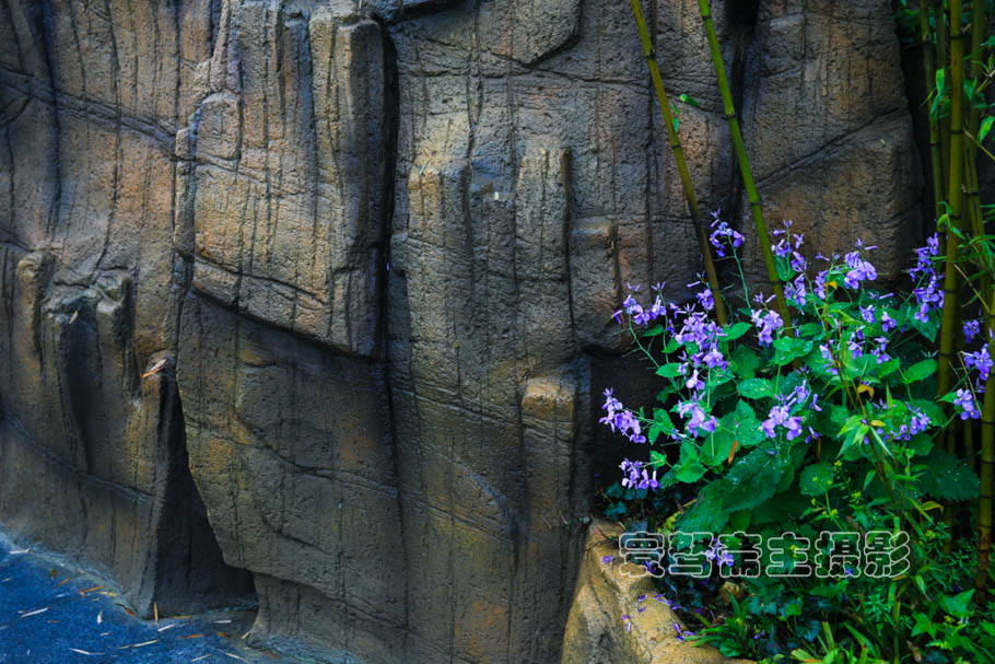 溧阳天目湖御水温泉水质,溧阳御水温泉竹溪谷