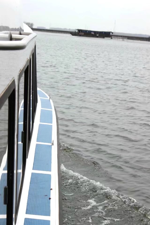 宝应免费湿地公园有哪些,宝应湖国家森林湿地公园