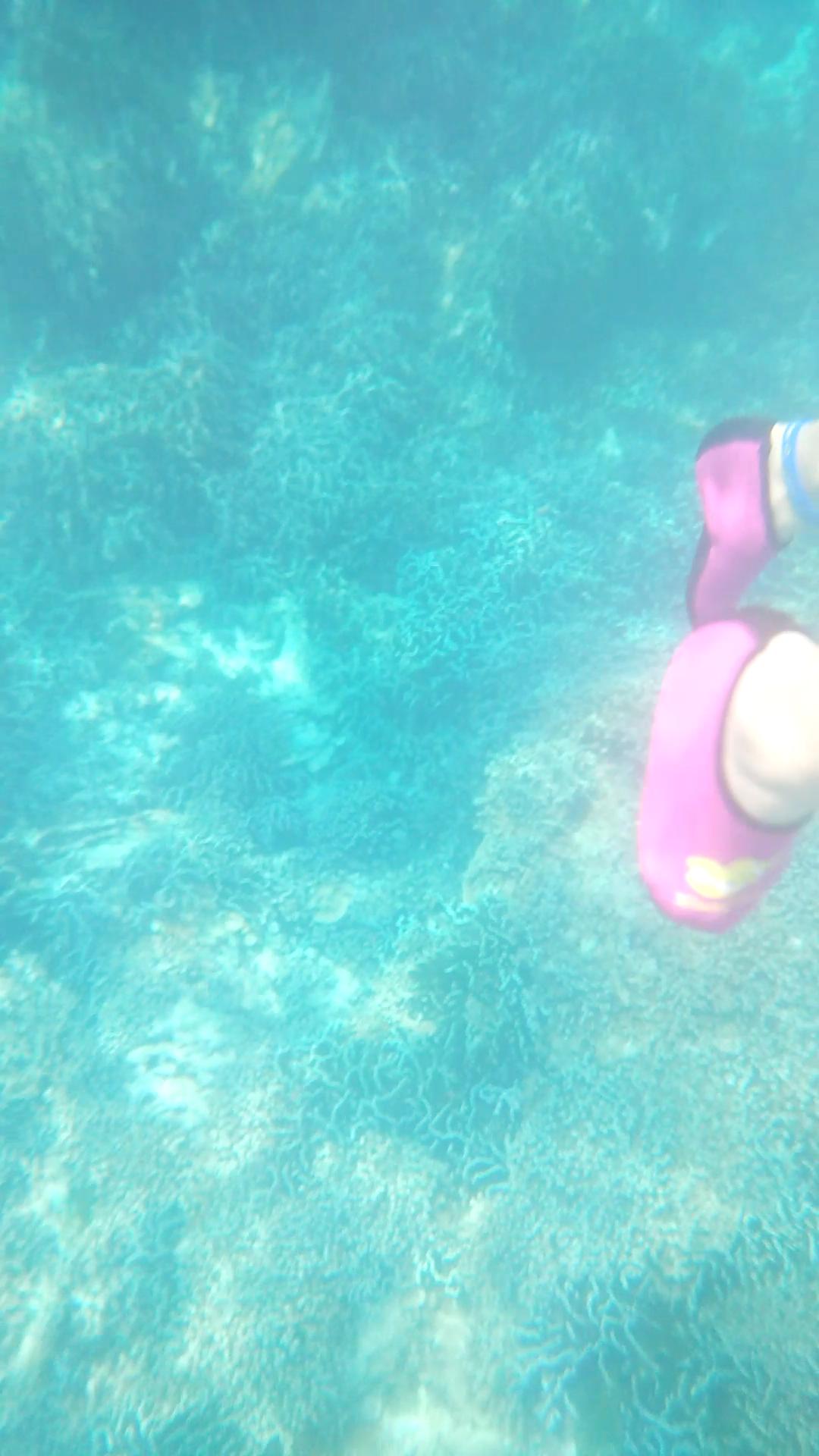 到普吉岛跟团游报价,到普吉岛跟团价格