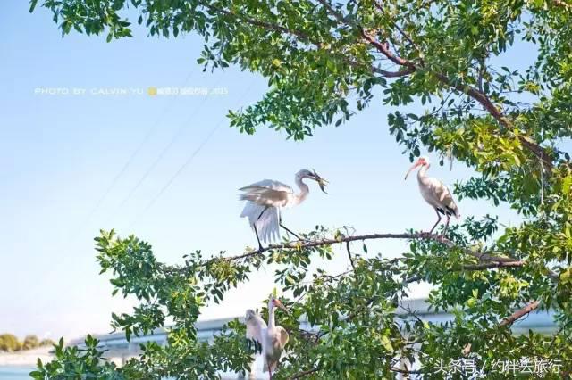 南佛罗里达：阳光眷顾的自由乐土