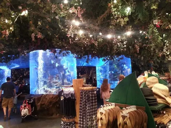 美国奥兰多一日游攻略,美国奥兰多迪士尼攻略