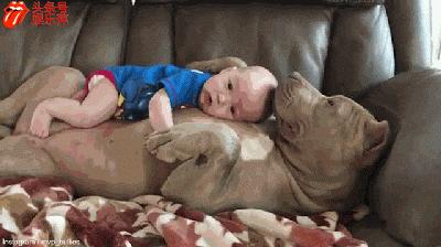 比特不都应该是这样的么？吃草莓那个是什么鬼