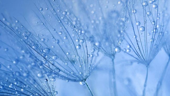 聴雨沐香——纯粹了的致雅