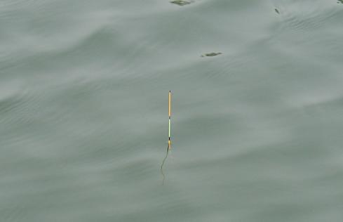 四海钓鱼大课堂读懂浮漂语言,四海钓鱼调漂视频