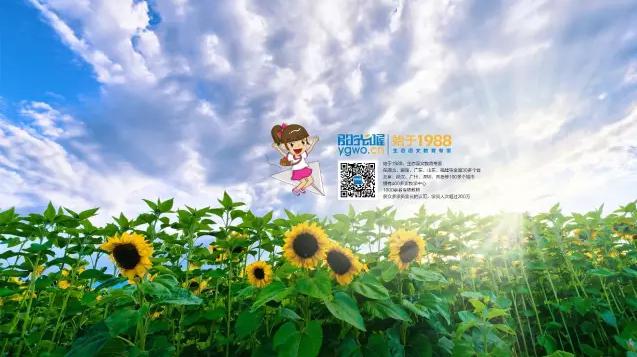 阳光喔课程,阳光喔培训