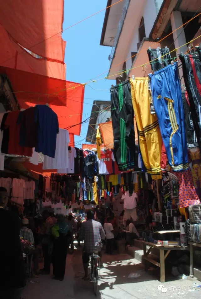 一生必去一次的非洲坦桑尼亚｜回归狂野